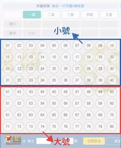 錢盈娛樂城：賓果賓果遊戲數字大號、小號說明
